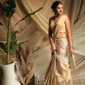 Chaand Sitara Saree