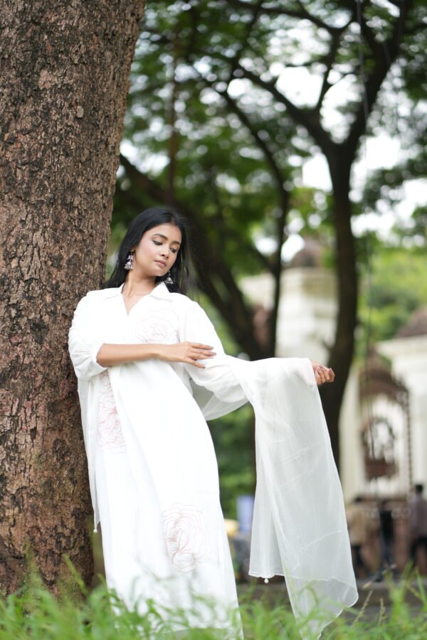 Megh Suit - Image 4