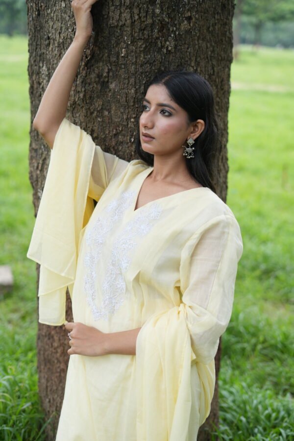 Payal Suit - Image 2