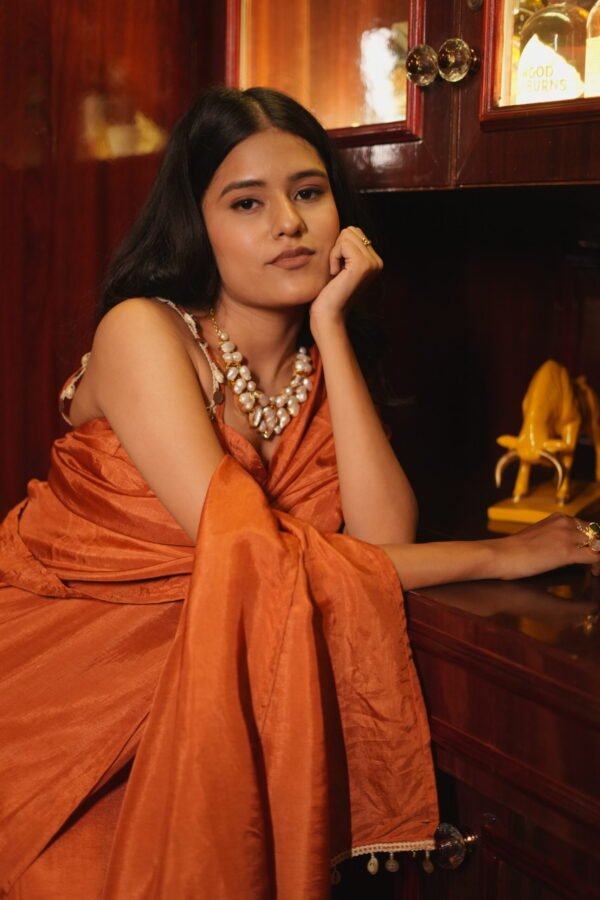 Rustic Charm Handwoven Saree - Image 3